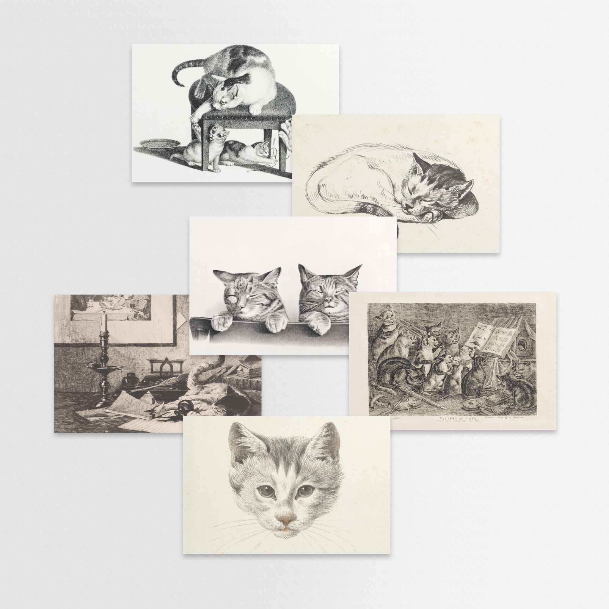 Kat & Ansichtkaarten kunst - set van 6  getekende kattenkunstkaarten