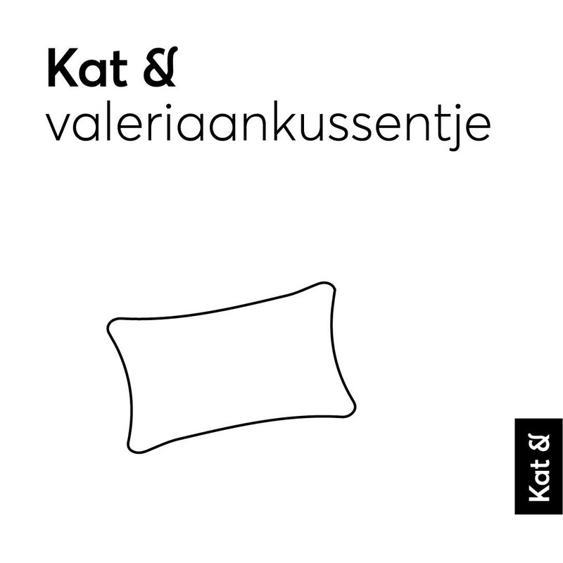 Kat & Speelkussentje met valeriaan en driehoeken patroon
