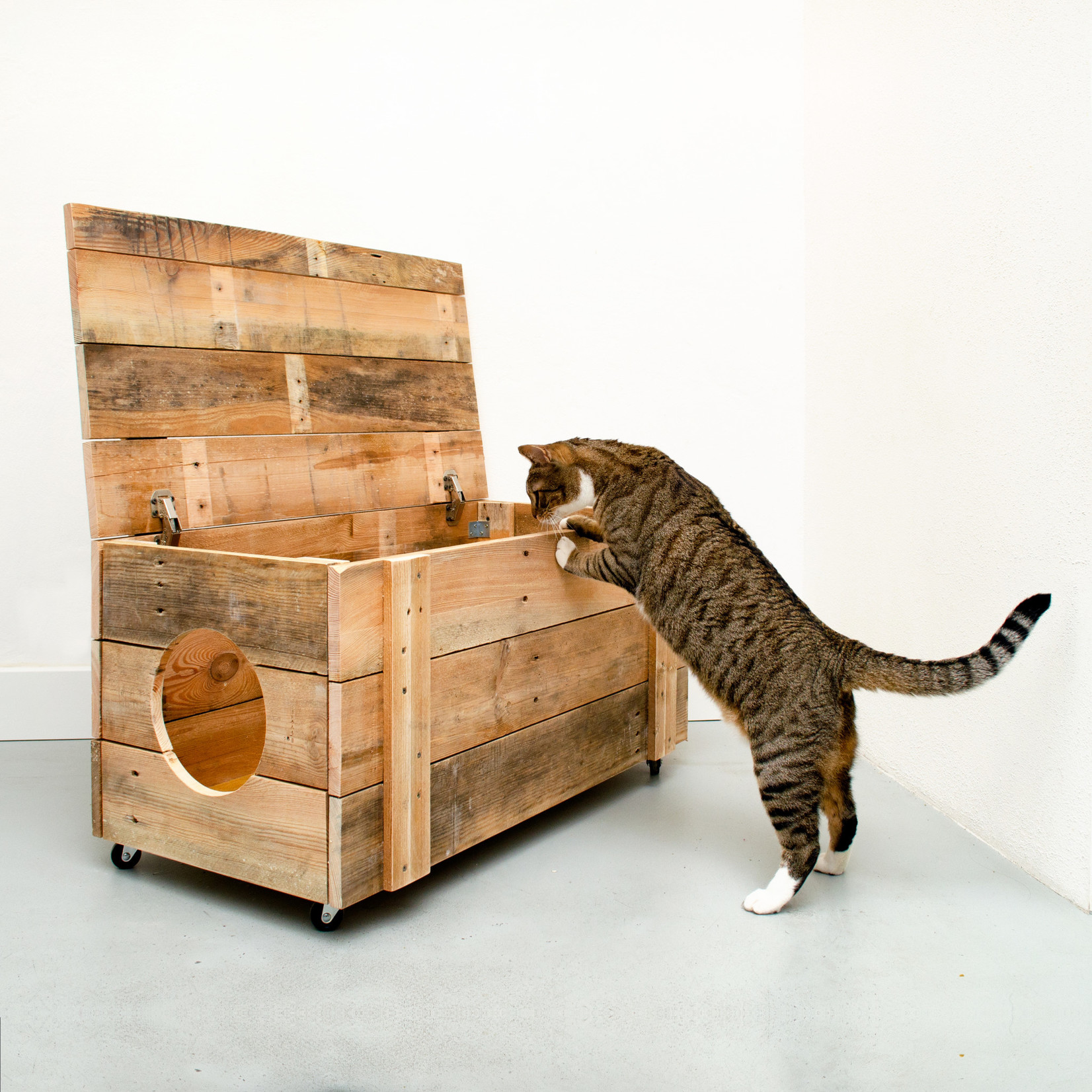 Kat & Kat & kattenbakkist van pallethout / in twee formaten