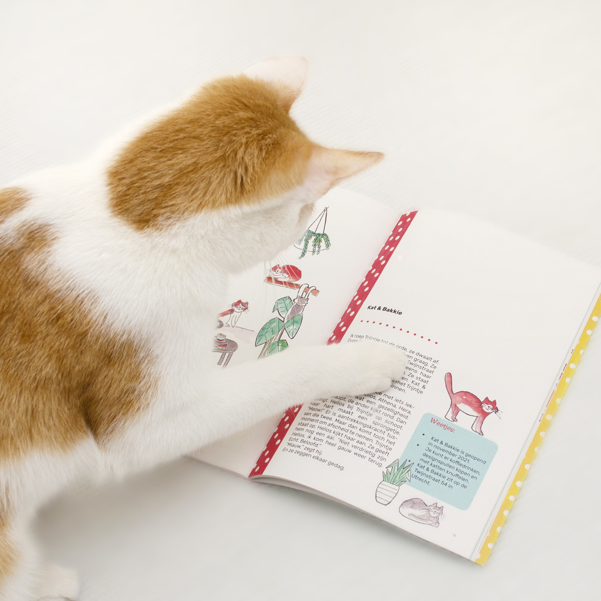 Uteregse Trijntje magazine / ook op bezoek bij Kat & Bakkie