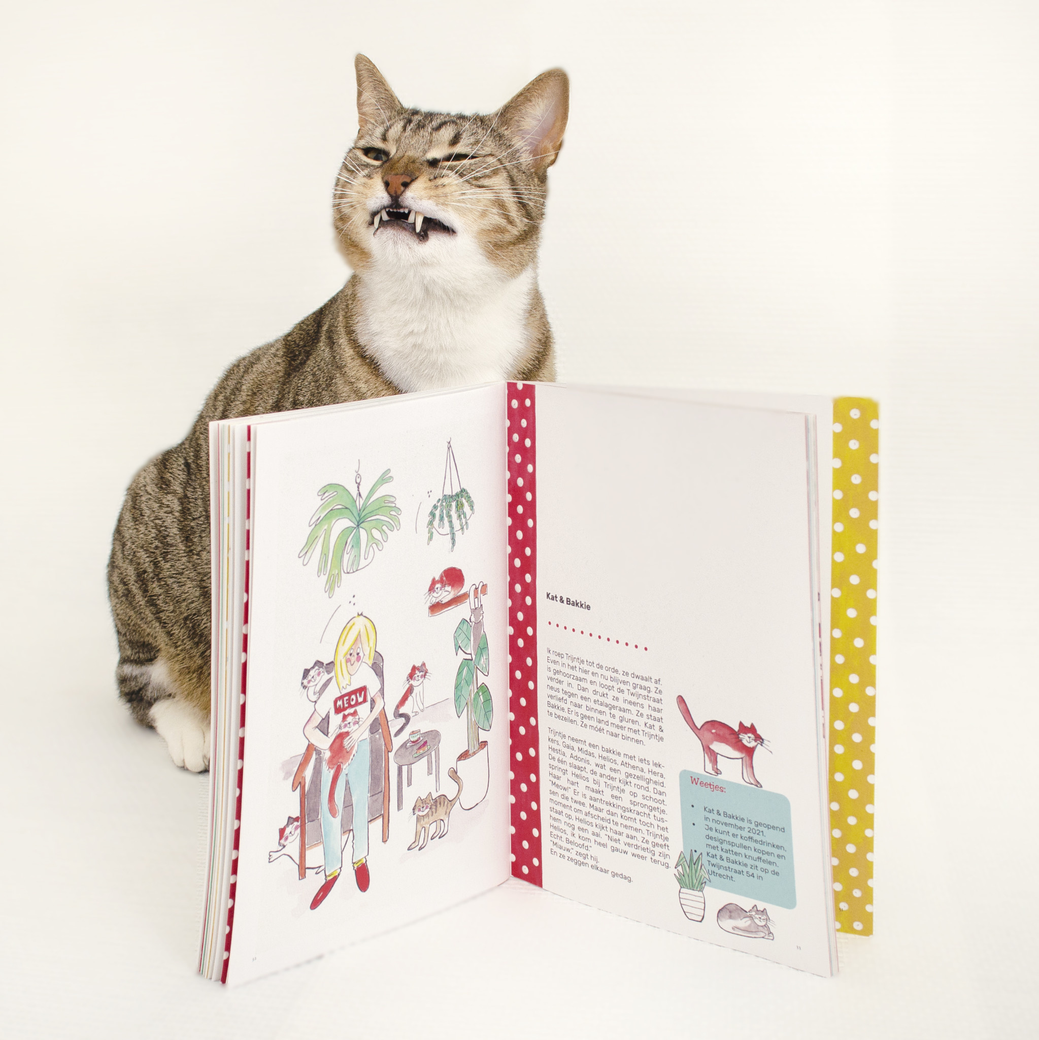 Uteregse Trijntje magazine / ook op bezoek bij Kat & Bakkie