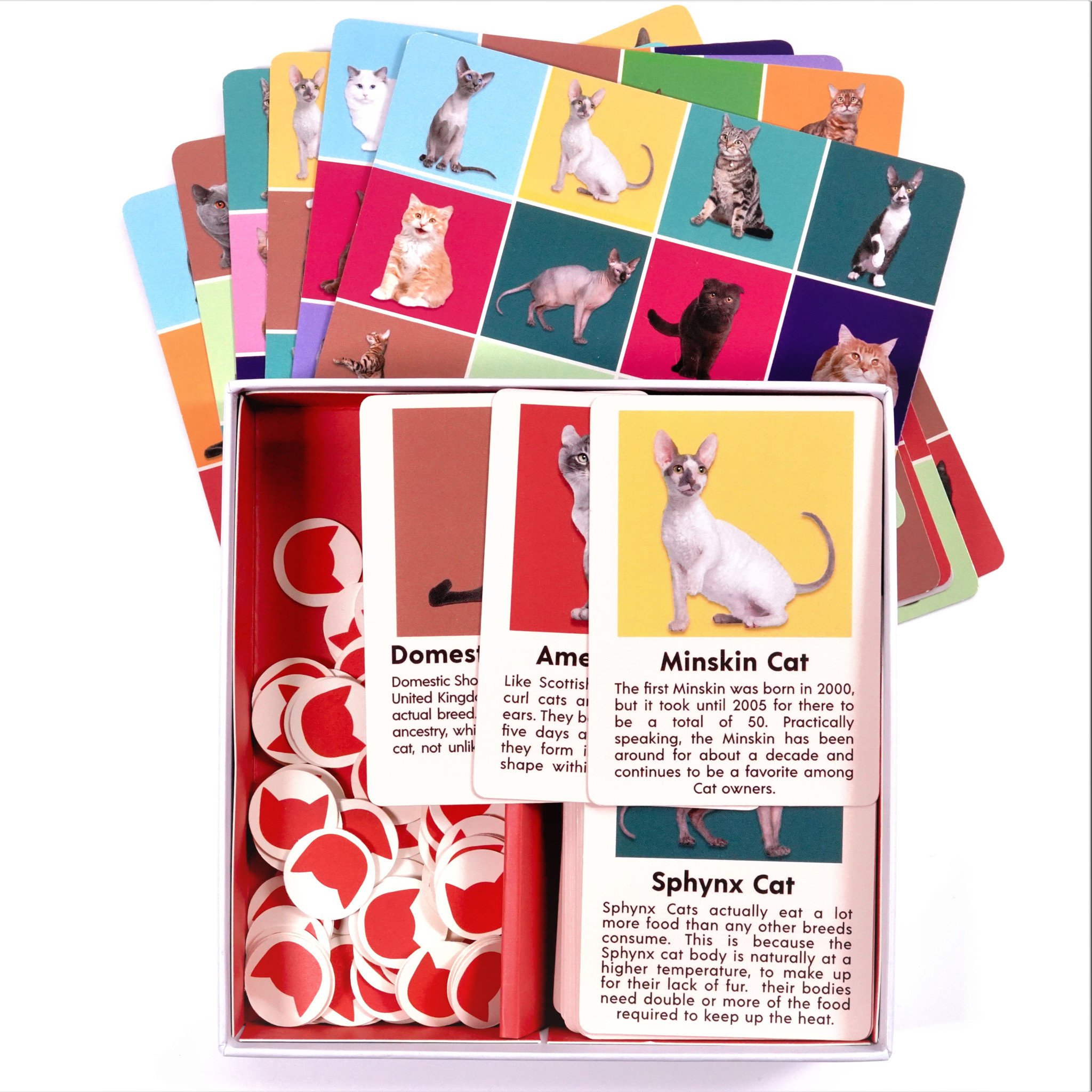 Kikkerland Cat Bingo