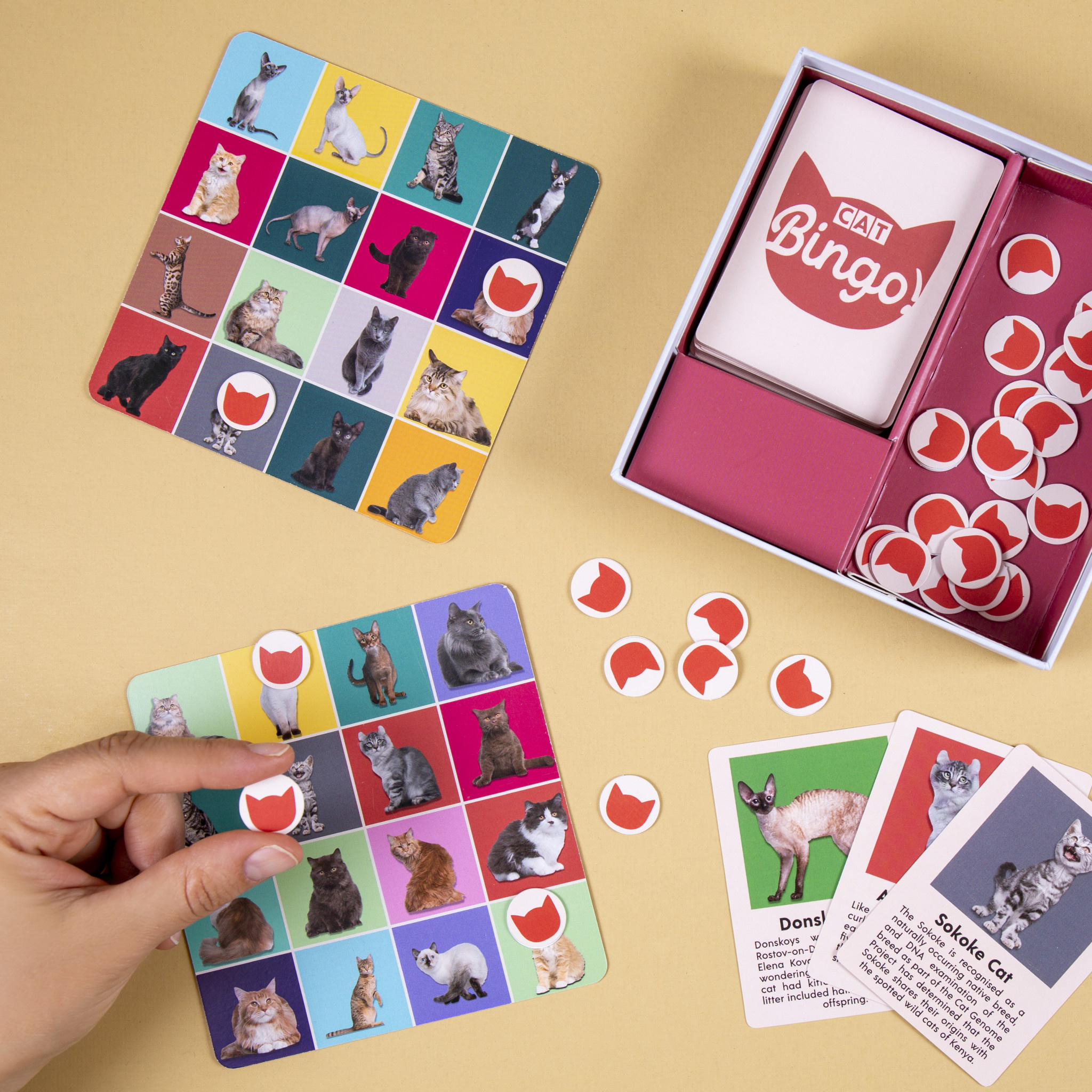 Kikkerland Cat Bingo