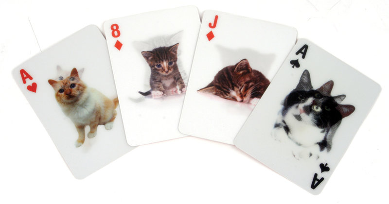 Kikkerland Speelkaarten Cats 3D
