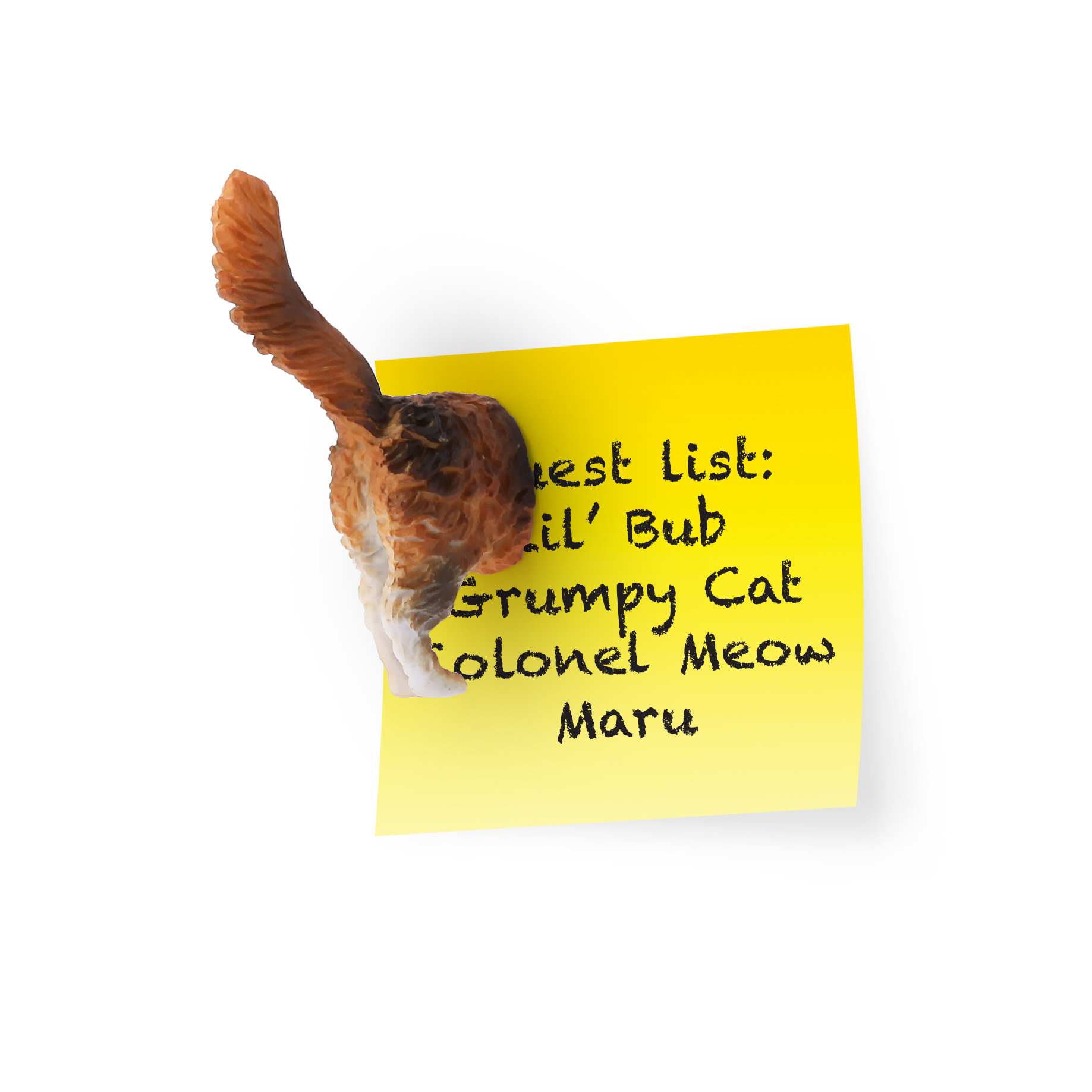 Kikkerland Cat Butt magneten set van 6