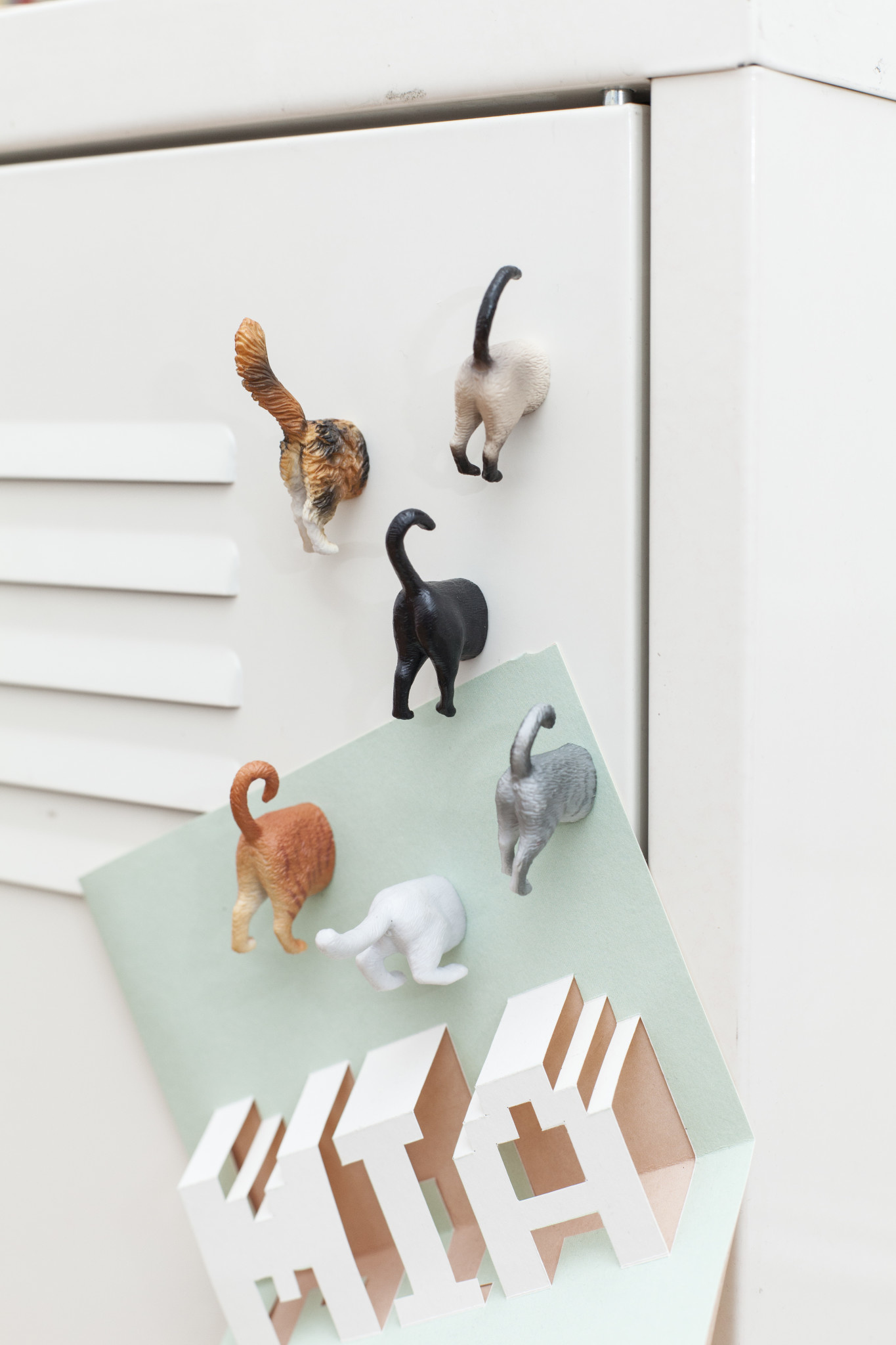 Kikkerland Cat Butt magneten set van 6