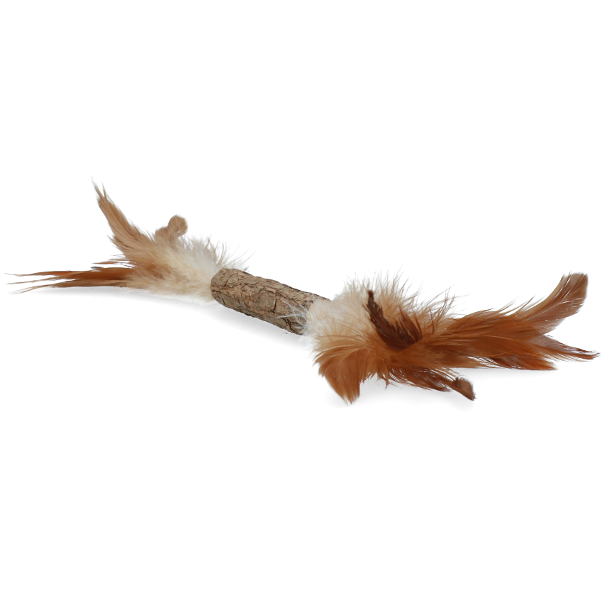 Addicted! Stick with caterpillar and feathers