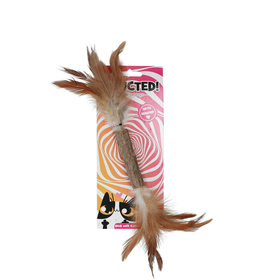 Addicted! Stick with caterpillar and feathers