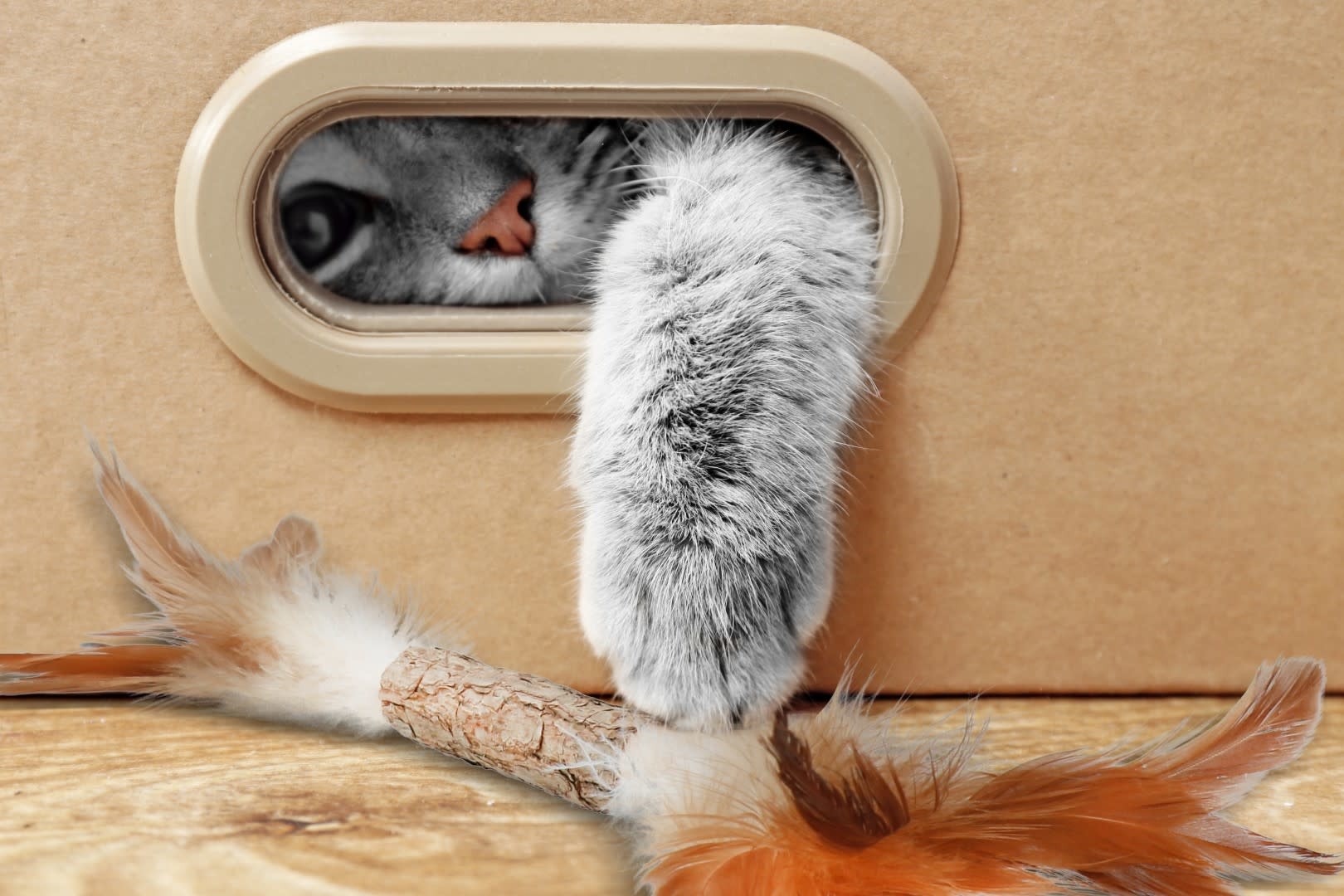 Addicted! Stick with caterpillar and feathers