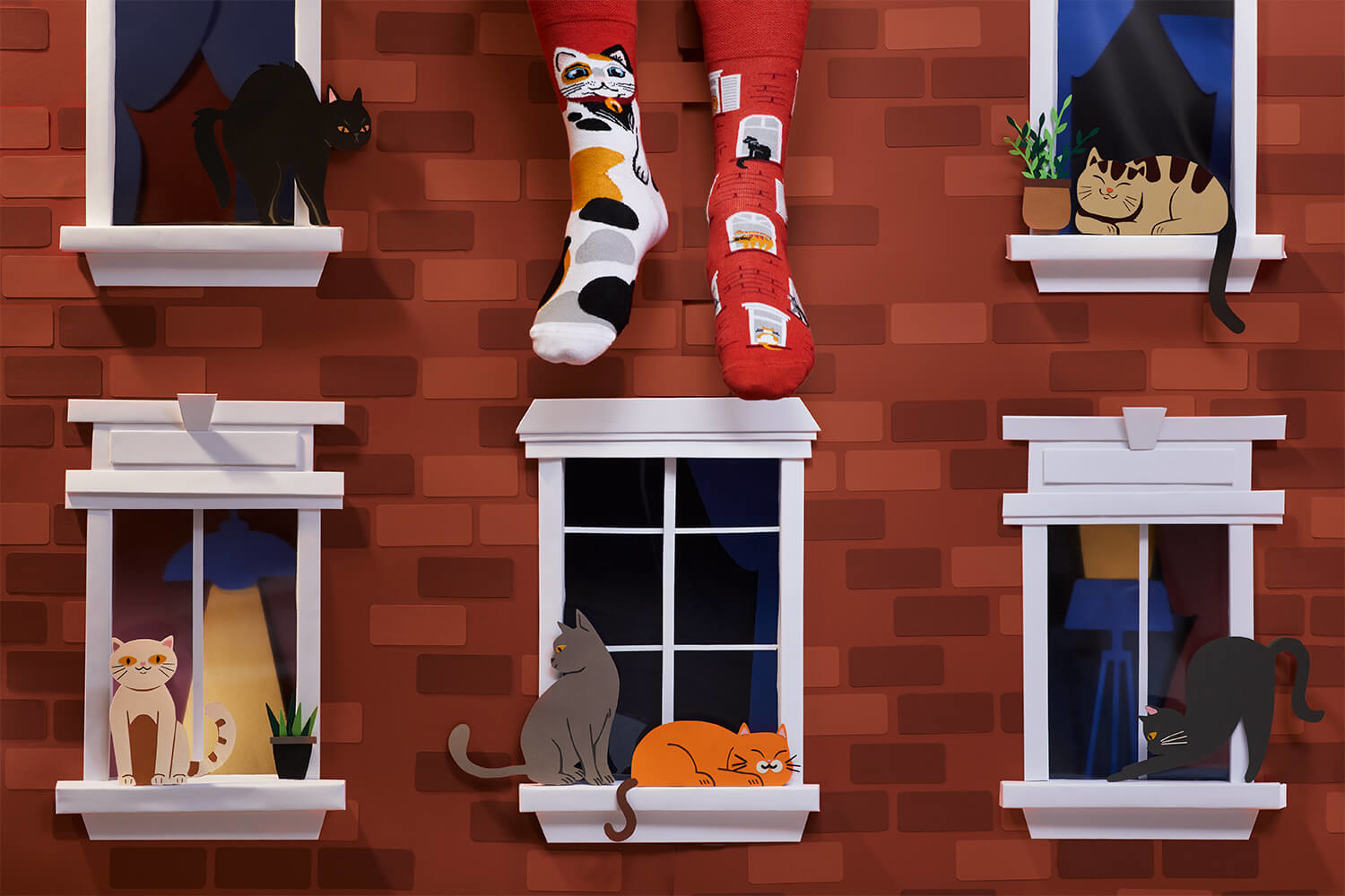 Many Mornings City cat - stadse katten sokken