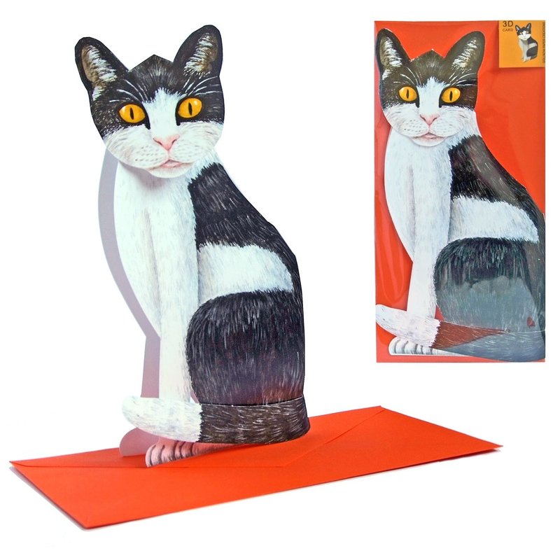 3D pop-up kaart - zittende zwart-witte kat