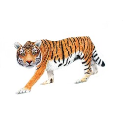 ansichtkaart 3D-kaart tijger