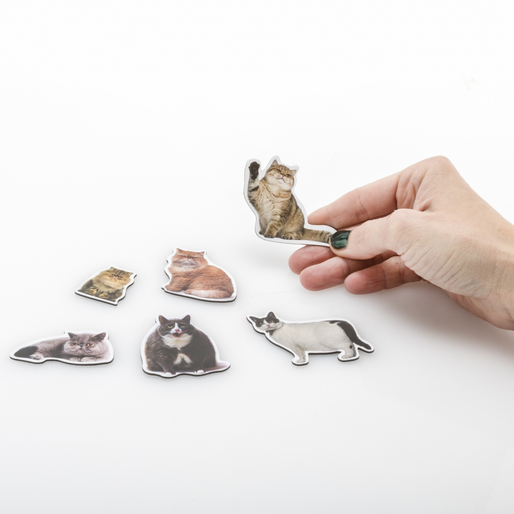 Mustard Fat Cat - set van 12 magneten