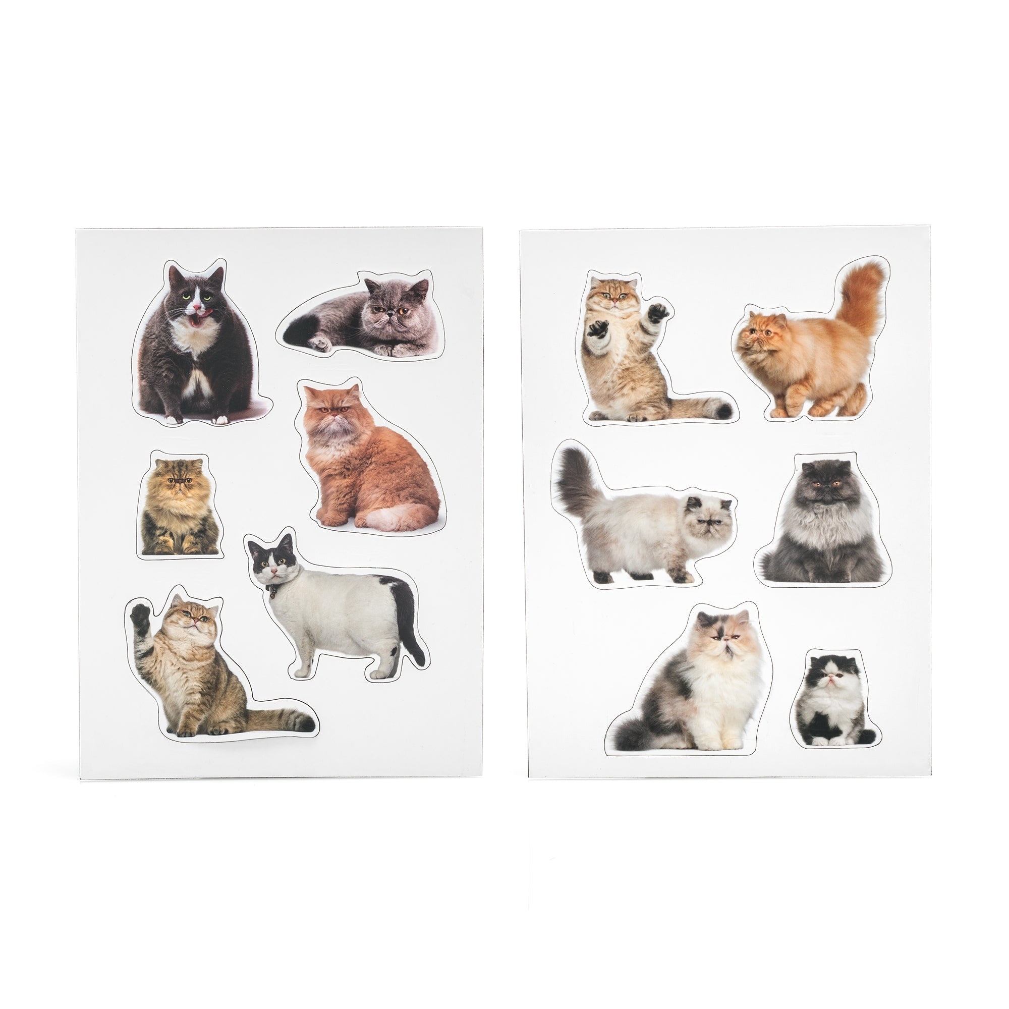 Mustard Fat Cat - set van 12 magneten