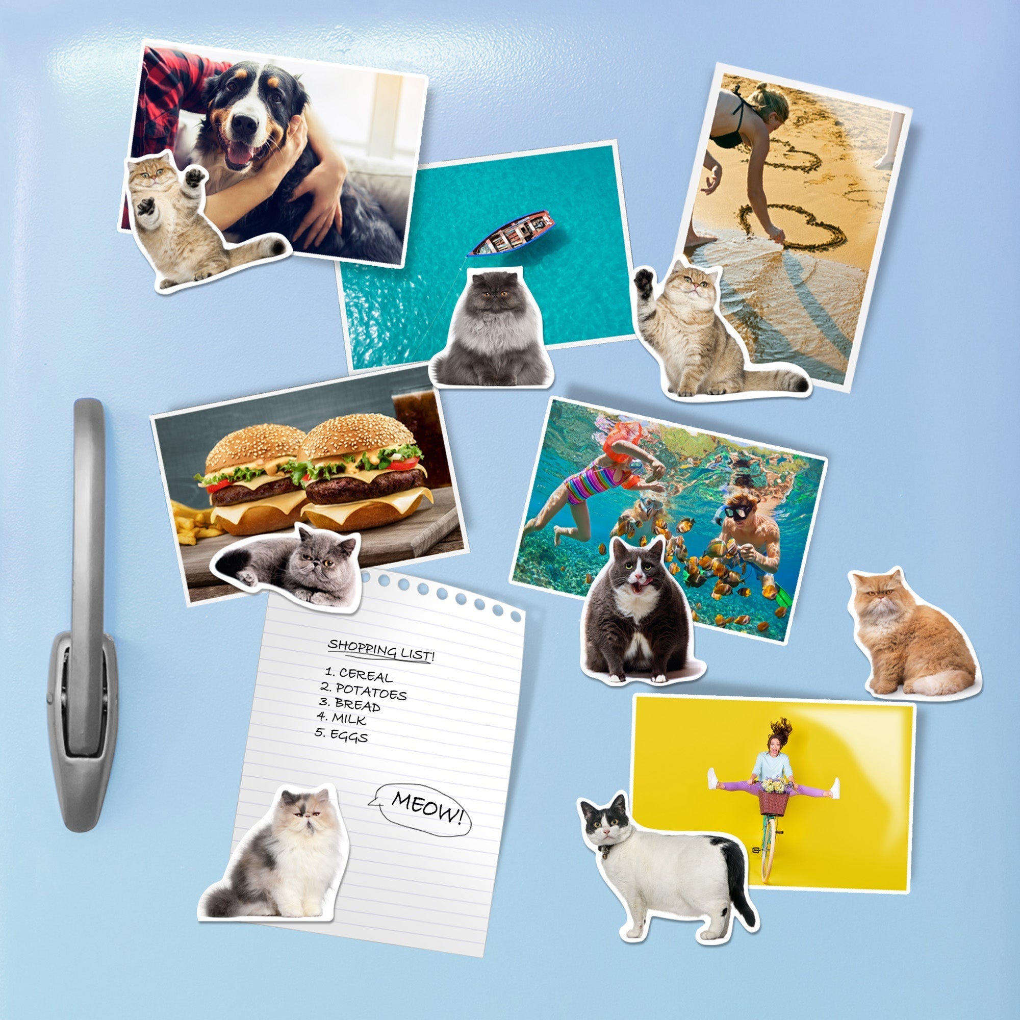 Mustard Fat Cat - set van 12 magneten