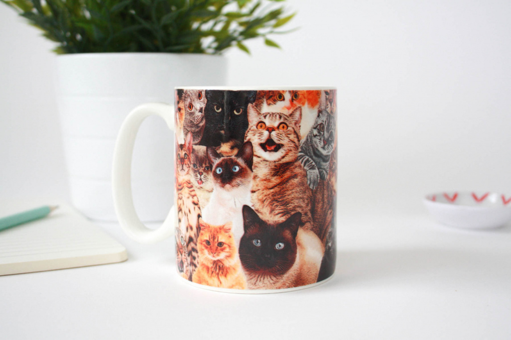 Gift Republic Crazy Cat Lady Mug
