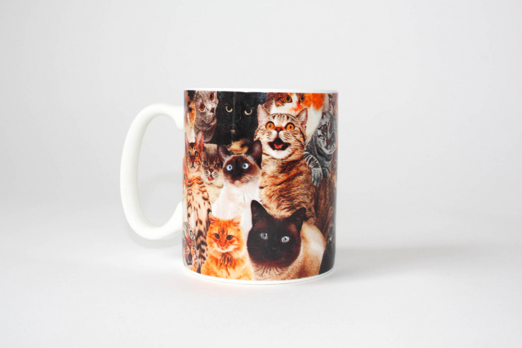 Gift Republic Crazy Cat Lady Mug