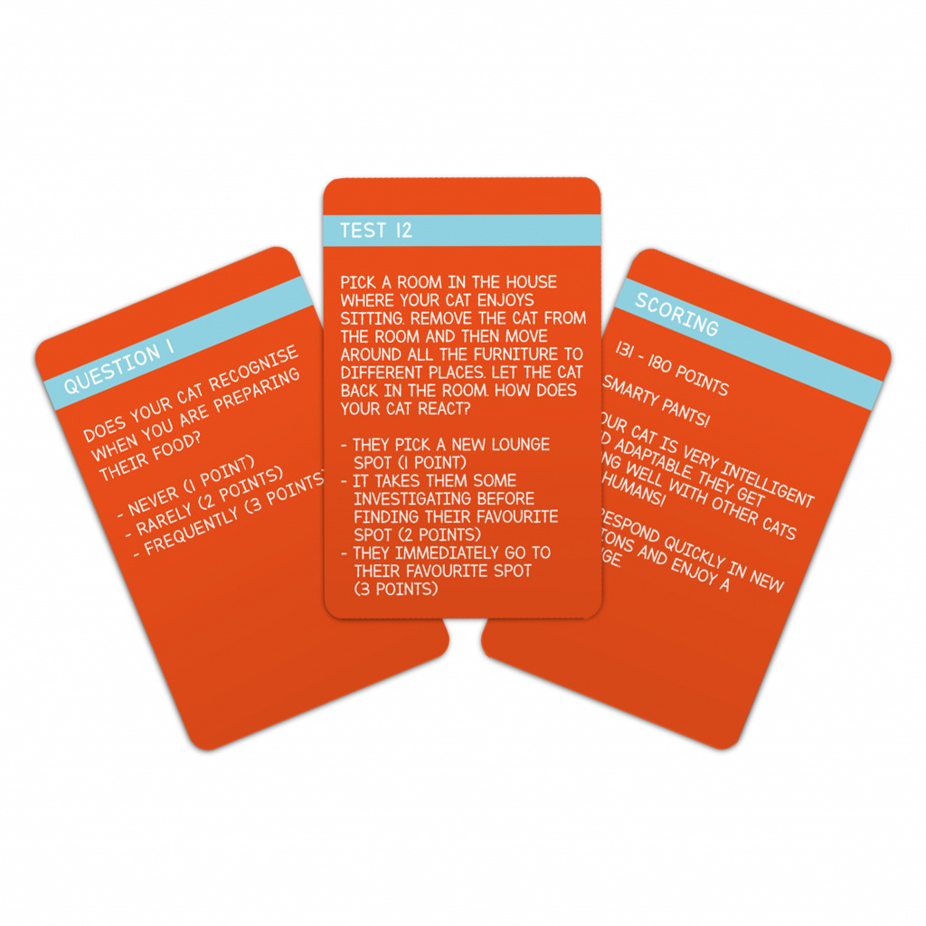 Gift Republic Cat IQ Test