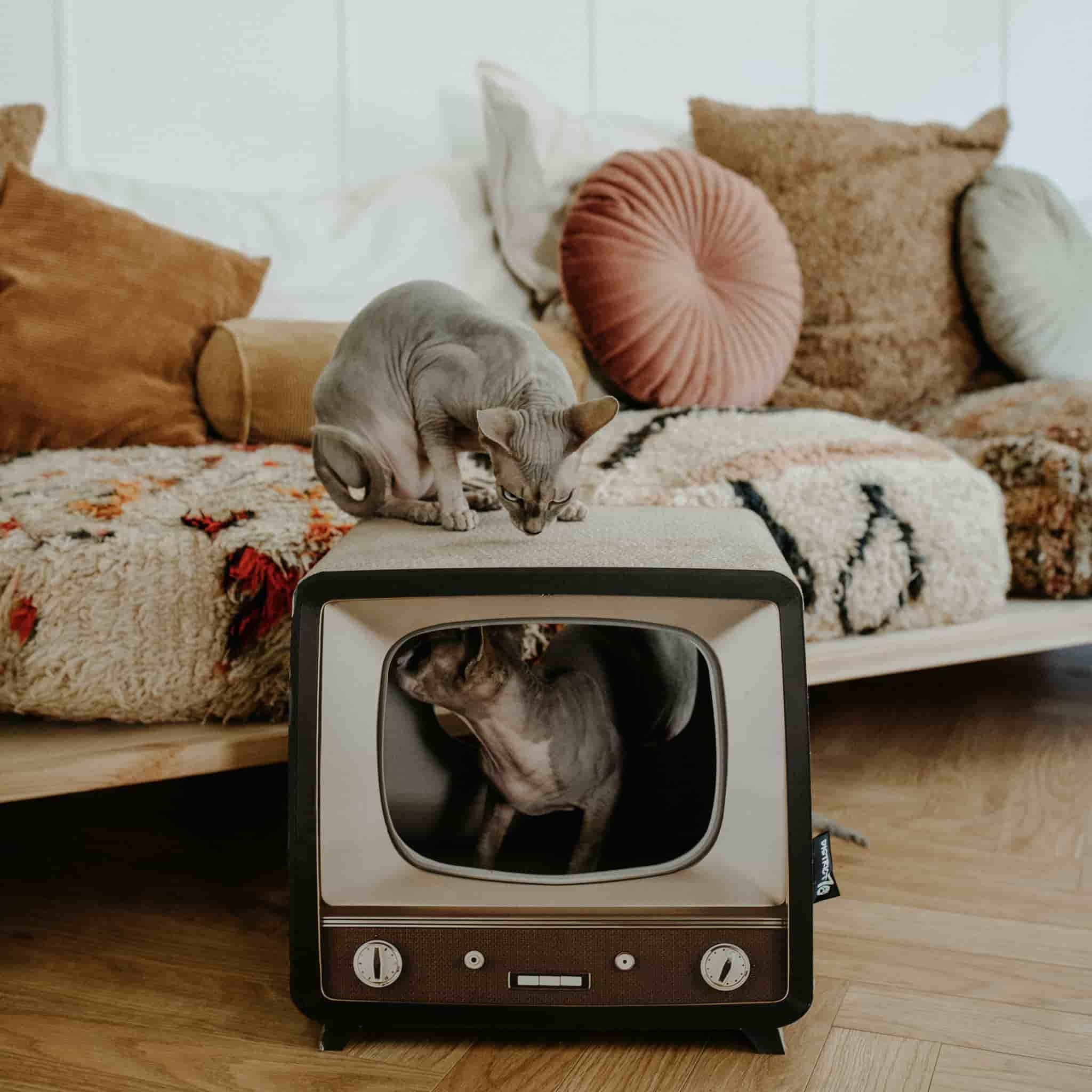 District 70 Retro Design katten krabmeubel televisie