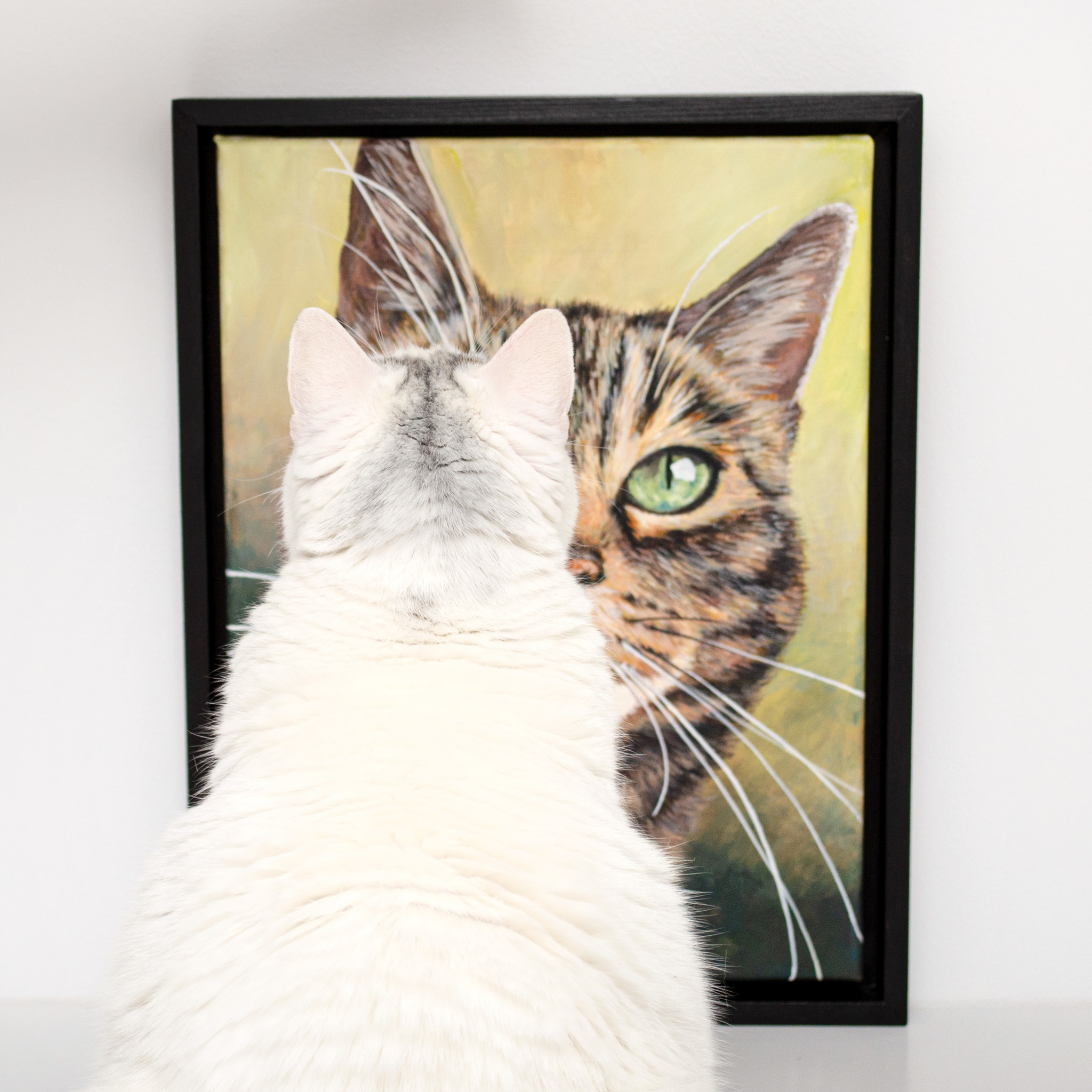 Kat & Portetschilderij van je kat