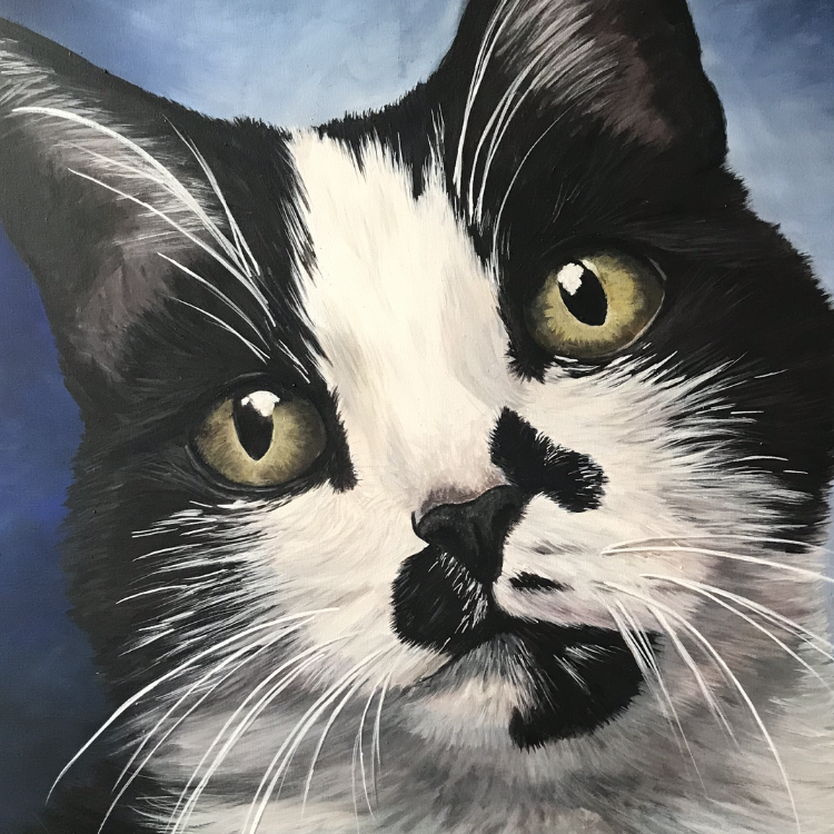 Kat & Portetschilderij van je kat