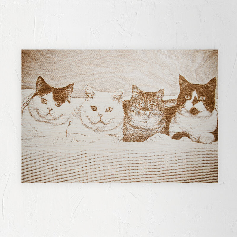 Kat & Gegraveerd portret van jouw kat op hout