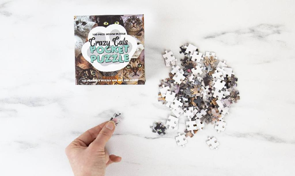 Gift Republic Crazy Cats Pocket Puzzle