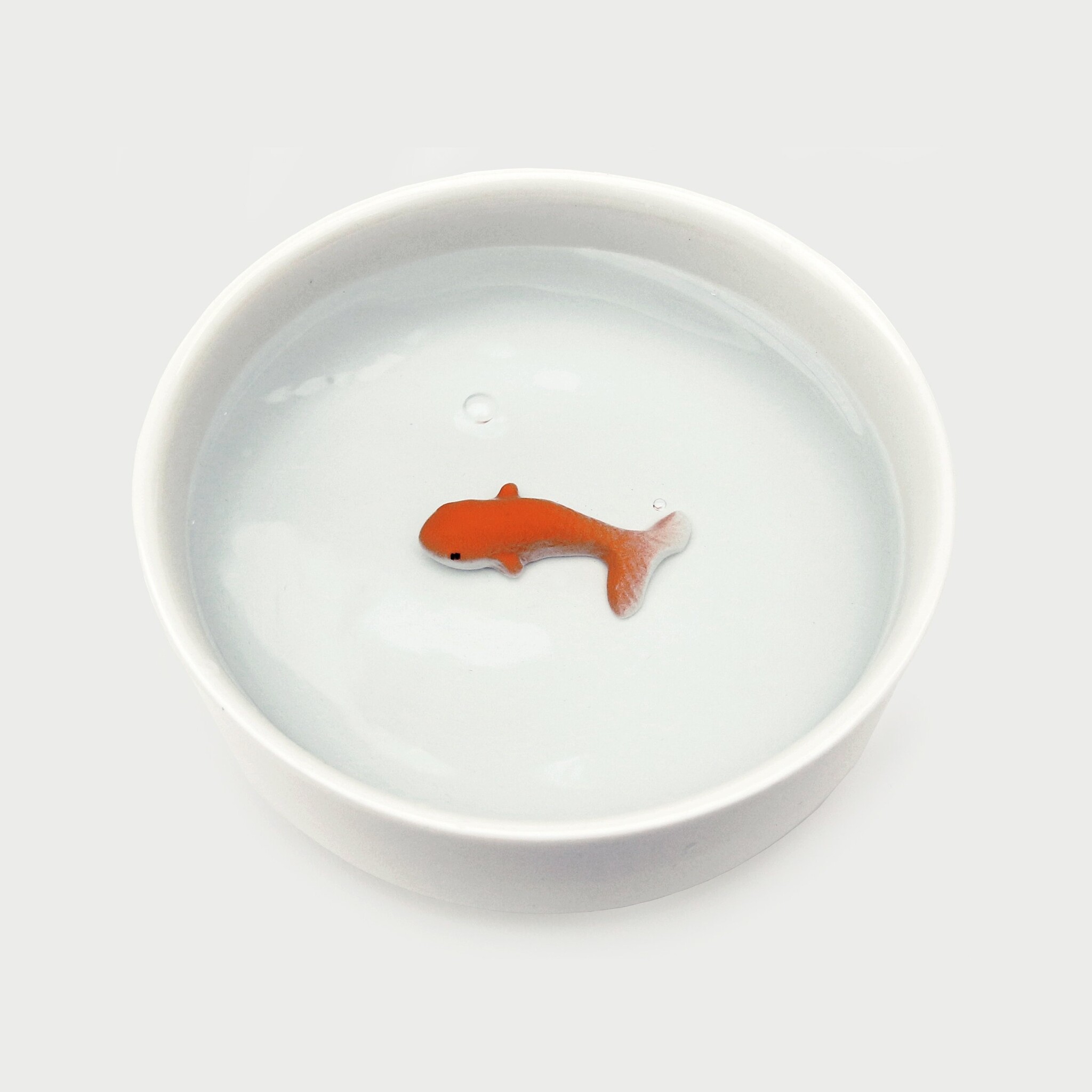 Suck UK Fish pet bowl