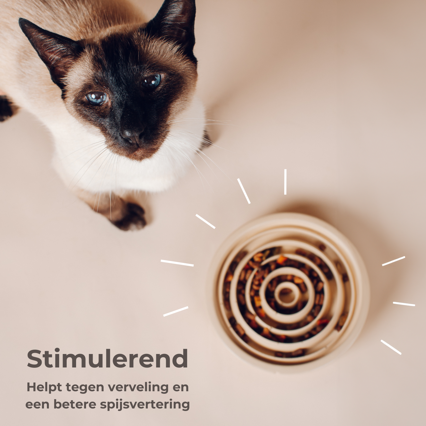 Pino Pino Slow Feeder & Interactive Bowls