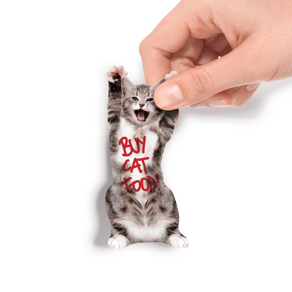 Mustard Cat In A Box