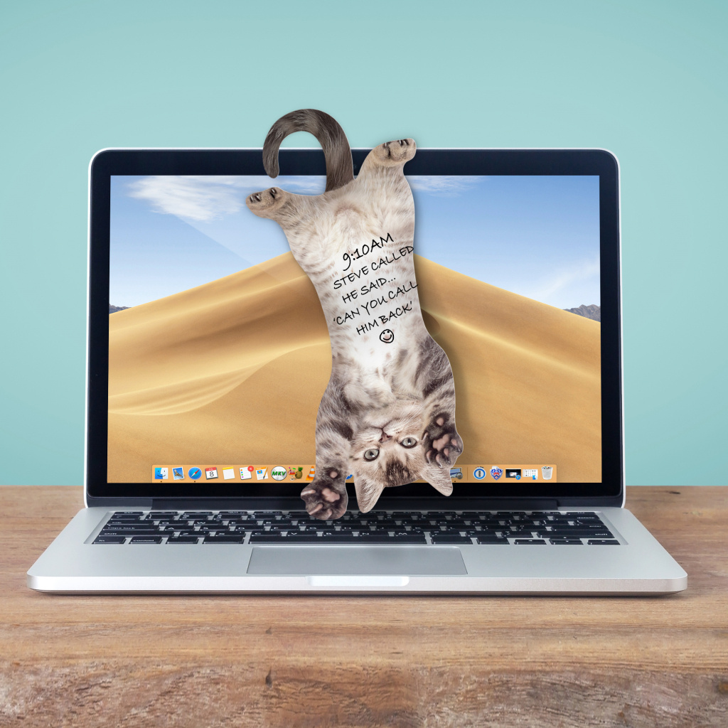 Mustard Mustard - Cat Hanging Notes