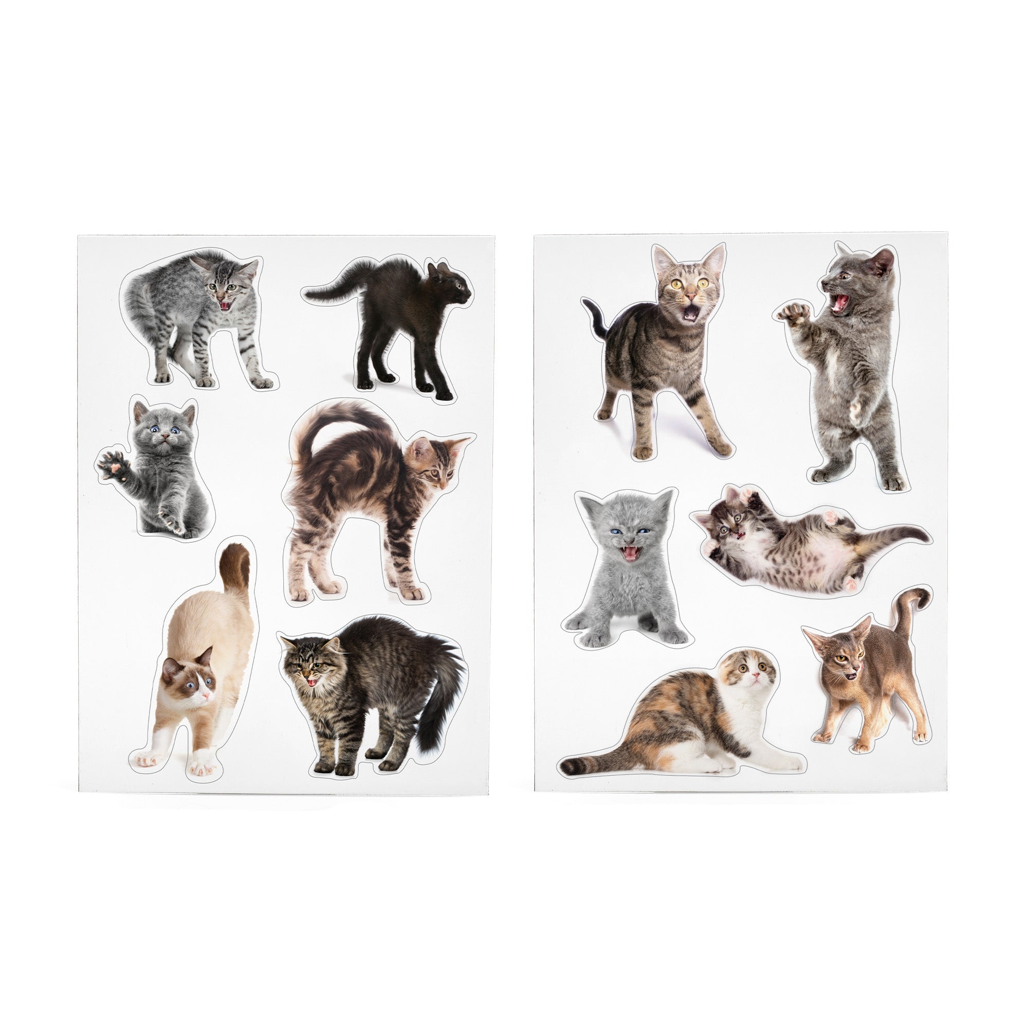 Mustard Scaredy cats - set van 12 magneten