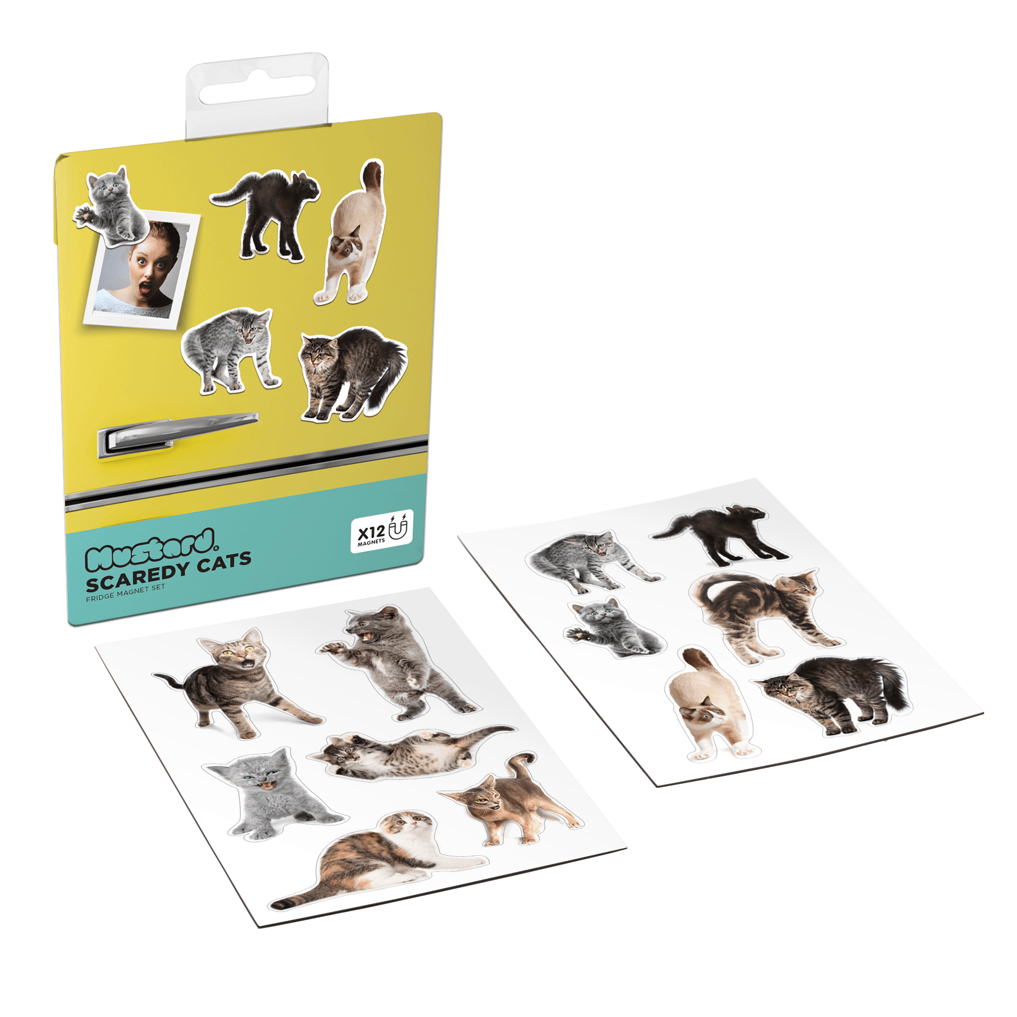 Mustard Scaredy cats - set van 12 magneten