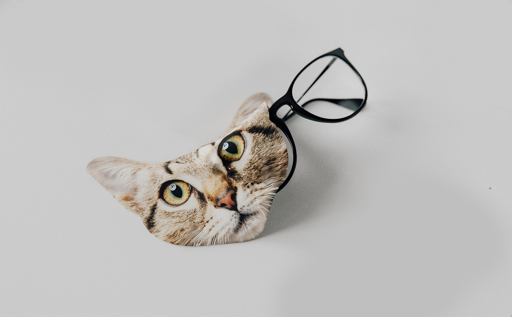 Fun Microfiber Cloth Cat