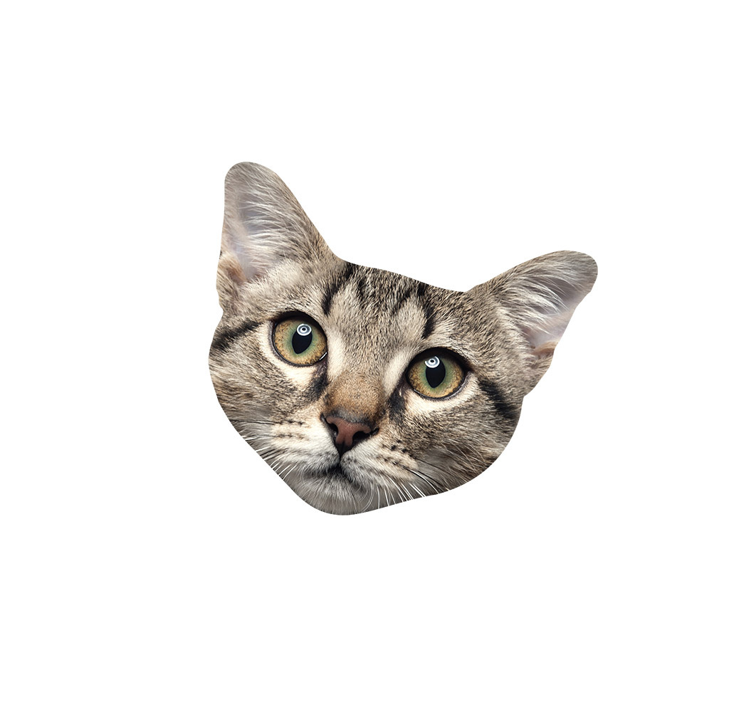 Fun Microfiber Cloth Cat