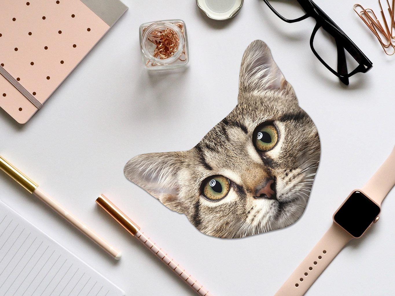 Fun Microfiber Cloth Cat