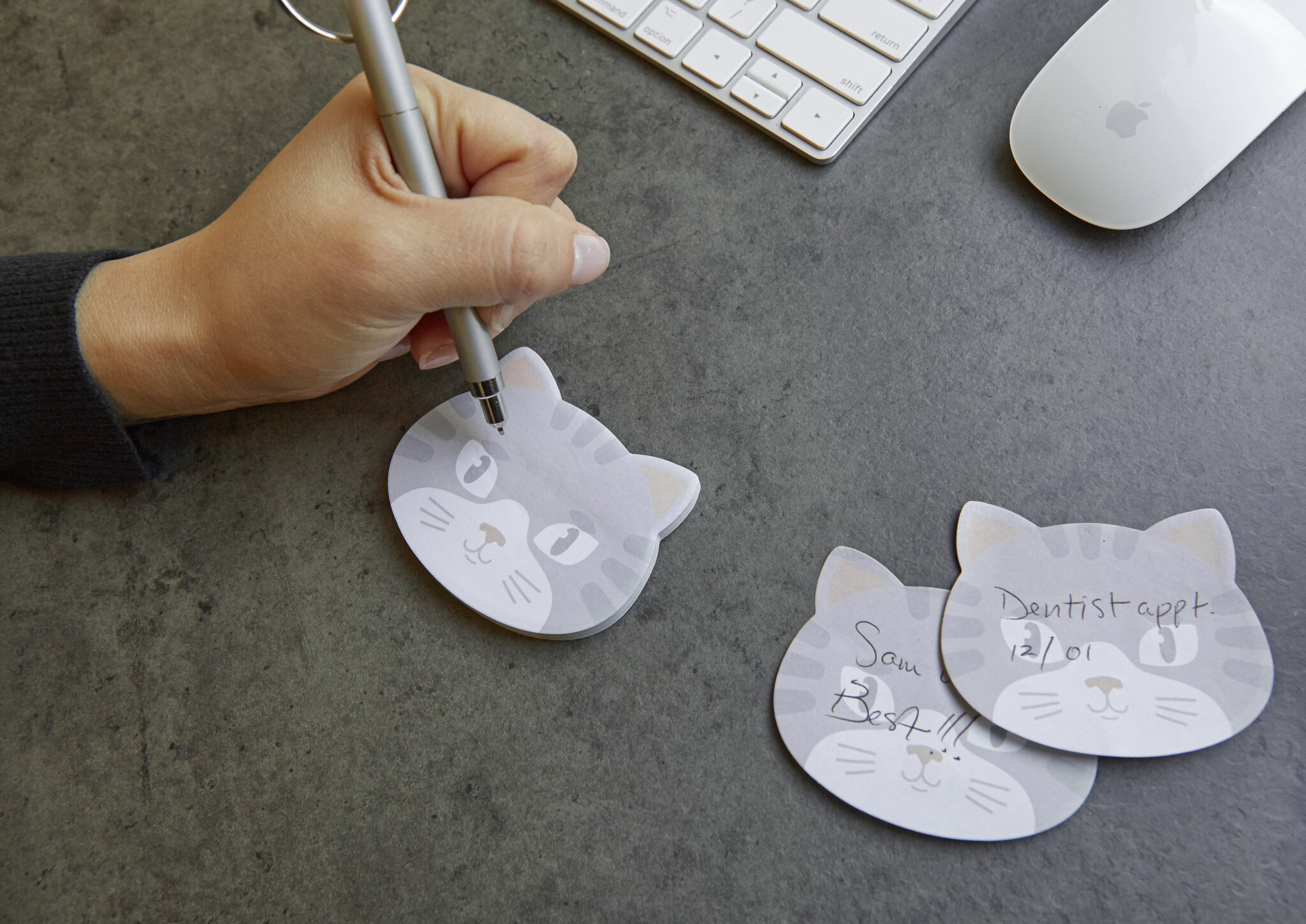 Kikkerland Kikkerland Kitty Cat Sticky Notes