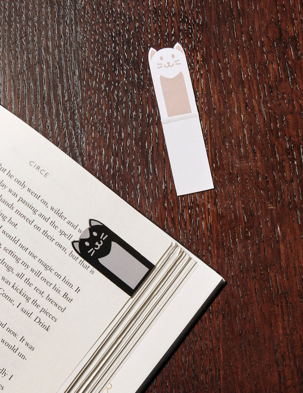 Kikkerland Kikkerland Magnetic Bookmark Cats