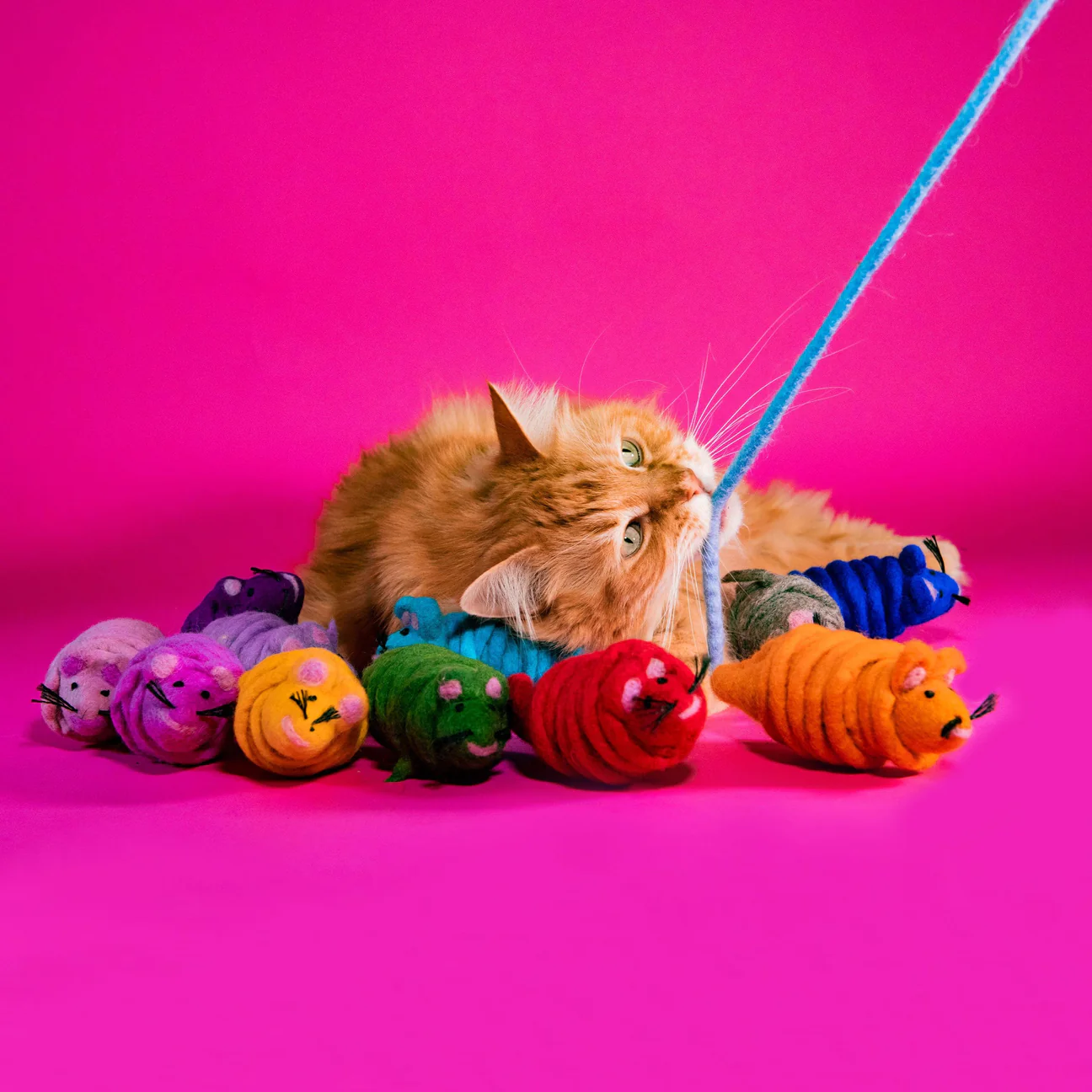 Mimis Daughters Mimis Daughters Monte the Mouse