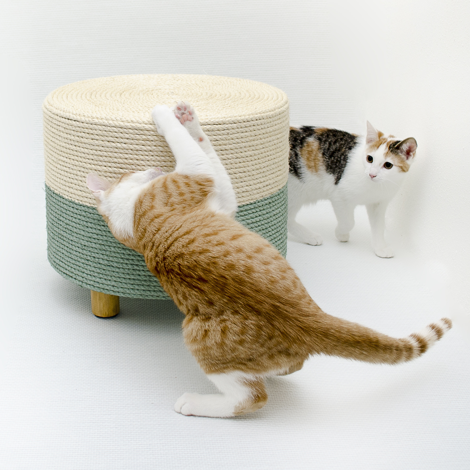Kat & Krabpoef naturel / groen - duurzaam & handgemaakt