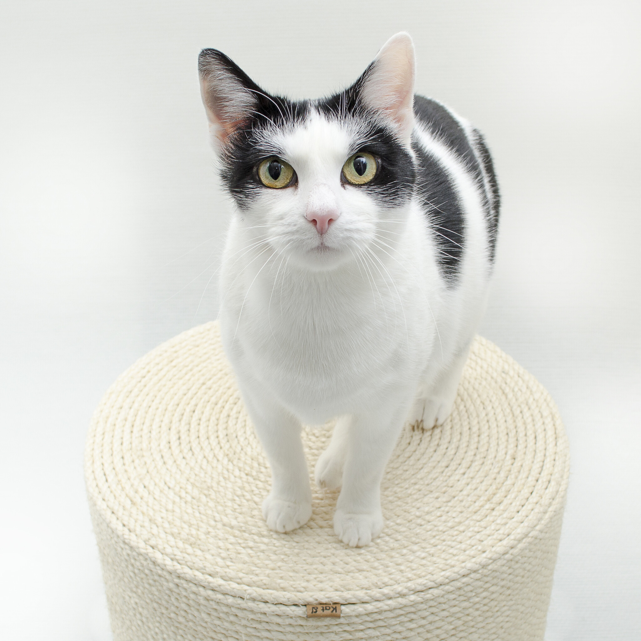 Kat & Krabpoef naturel / wit - duurzaam & handgemaakt