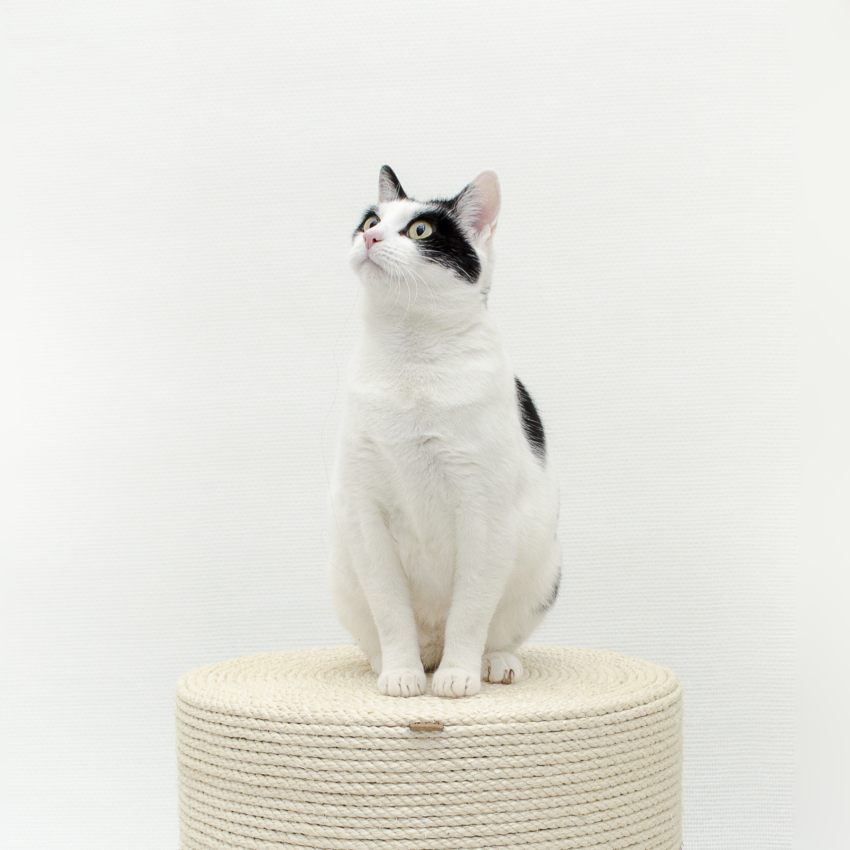 Kat & Krabpoef naturel / wit - duurzaam & handgemaakt