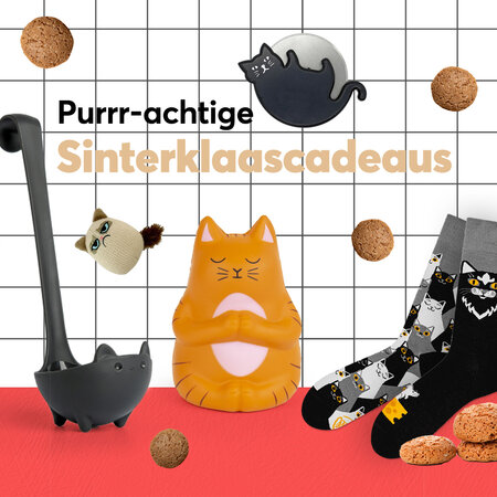 De leukste Sinterklaas cadeaus