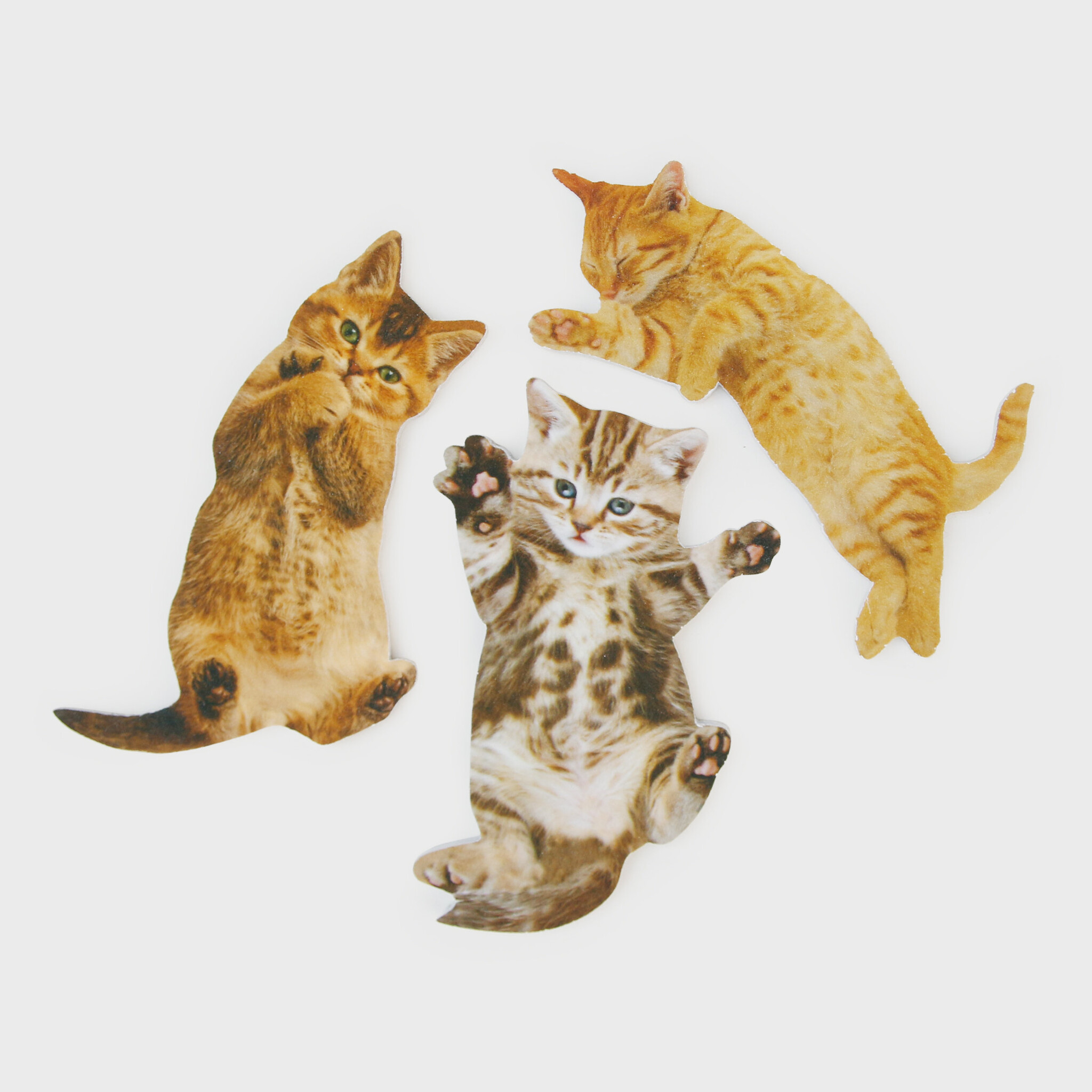 Suck UK SUCK UK Purrfect Nails