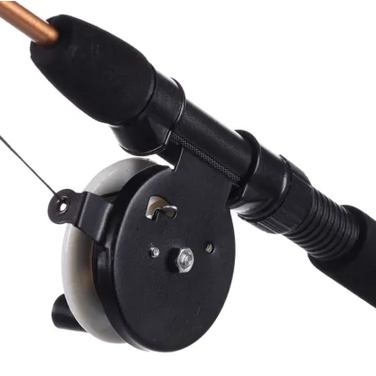 Kattenhengel met oranje clownvis