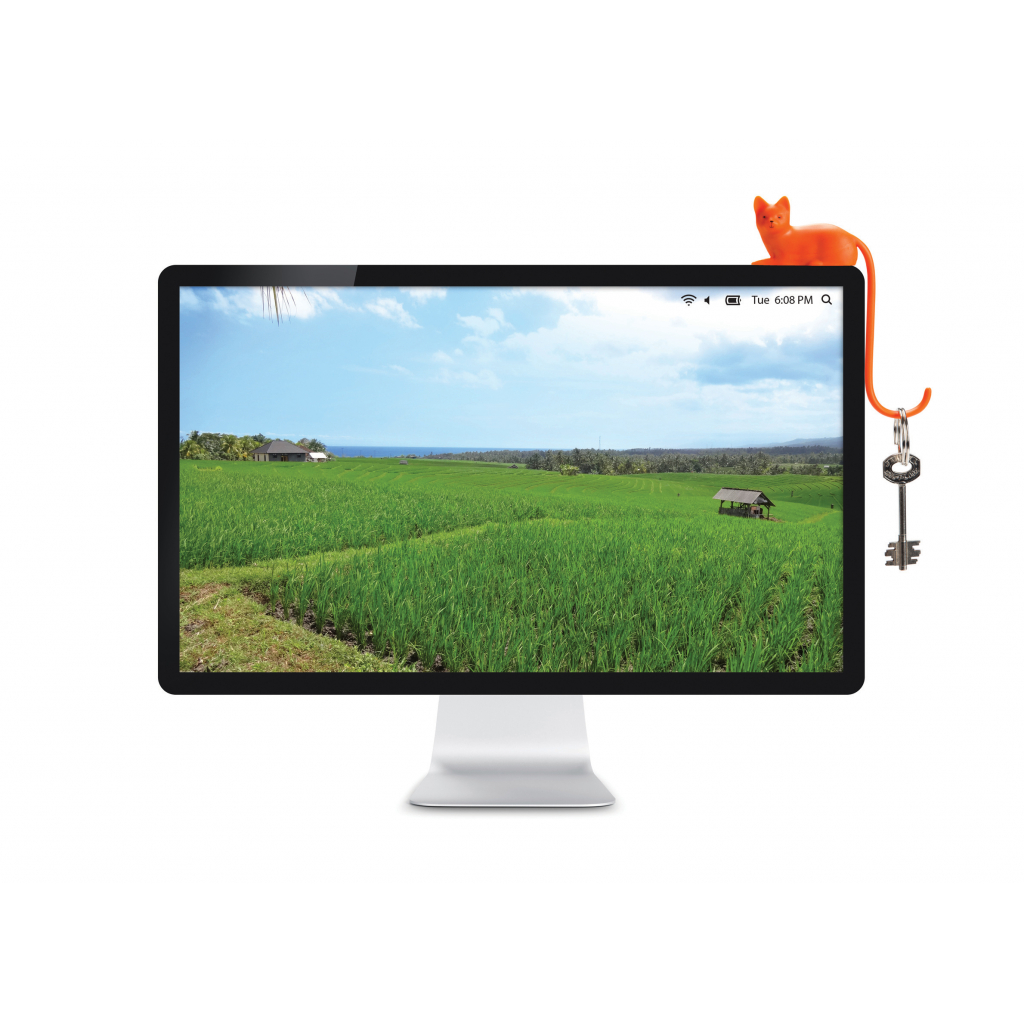 Monkey Business Monkey Business - Ginger Cat