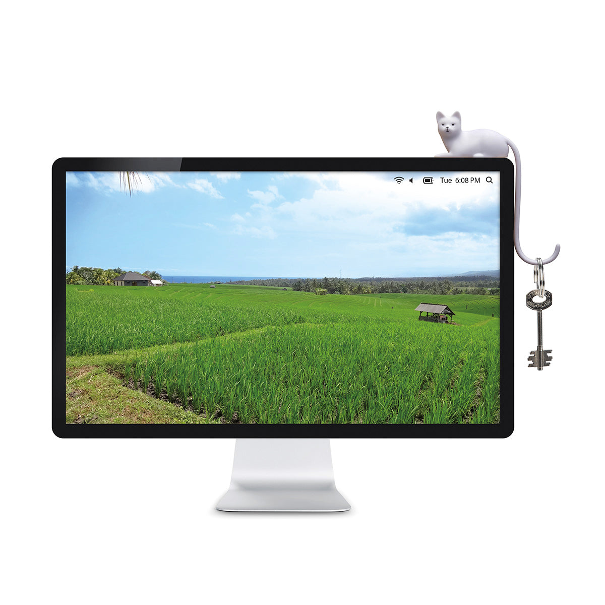 Monkey Business Monkey Business - White Cat