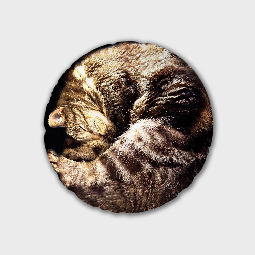 Suck UK SUCK UK Cat Hot Water Bottle