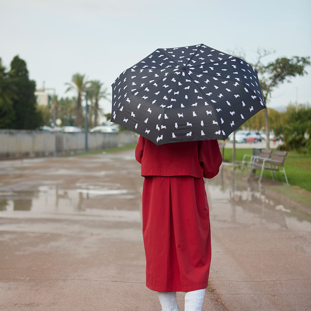 Balvi Opvouwbare paraplu zwarte kat