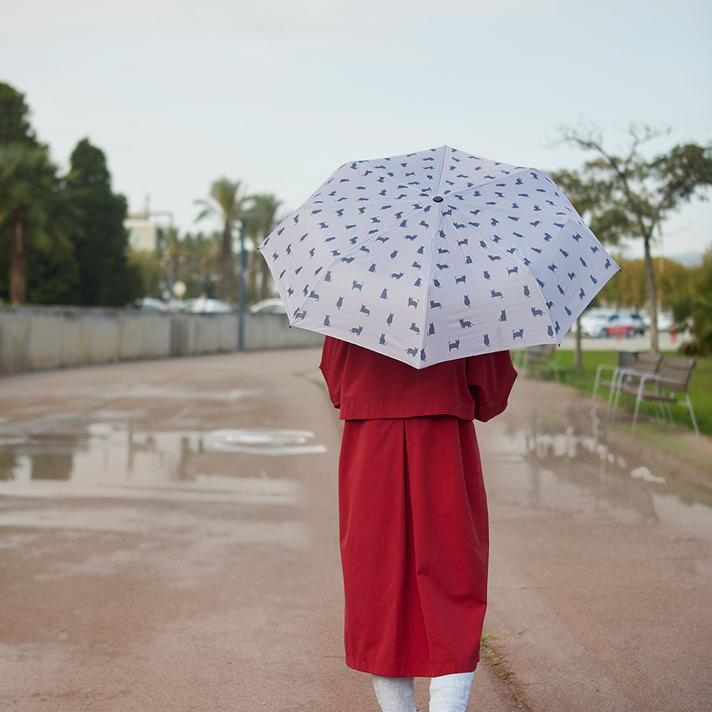 Balvi Balvi Umbrella Meowmbrella grey / nylon